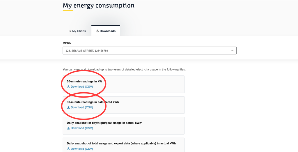 ESB Networks downloads page showing 30-minute reading options