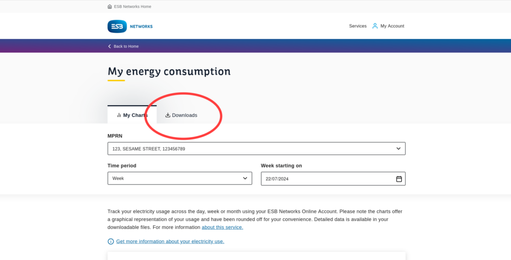 ESB Networks energy consumption page with 'Downloads' tab
