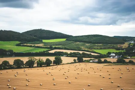 Photograph of rural Ireland.